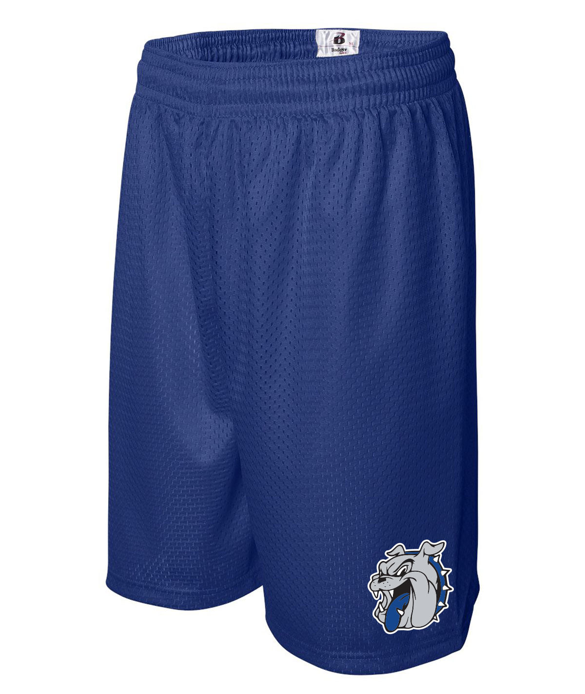 School Pride Men's Mesh Shorts