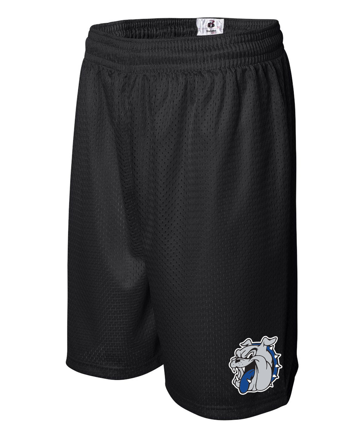 School Pride Men's Mesh Shorts