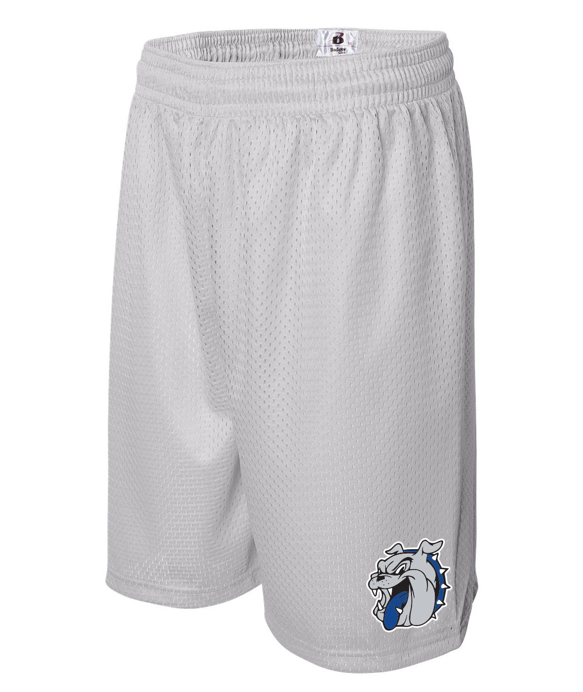 School Pride Men's Mesh Shorts